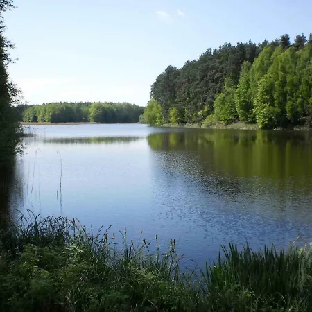 Ferienhaeuser Waldidyll *