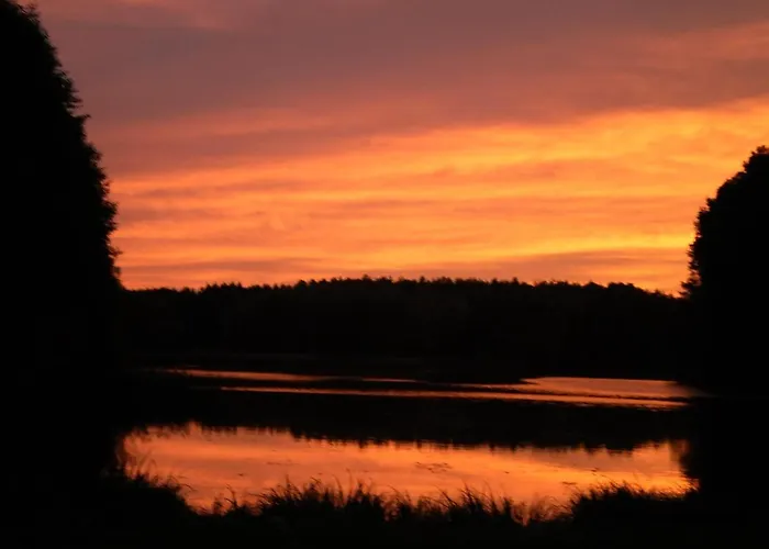 Ferienhaeuser Waldidyll