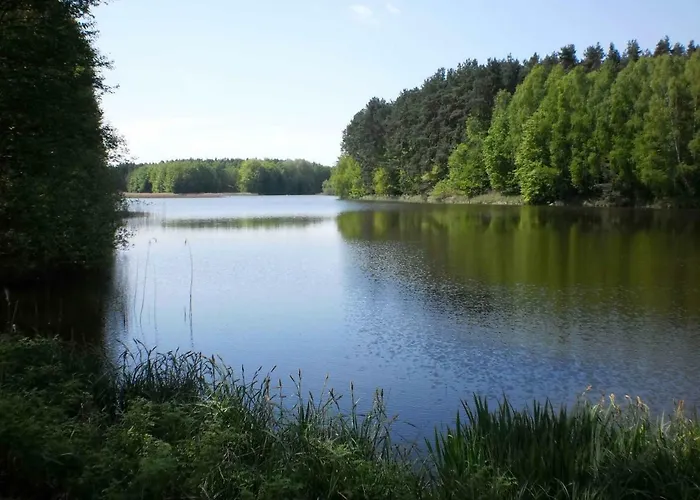 Ferienhaeuser Waldidyll *