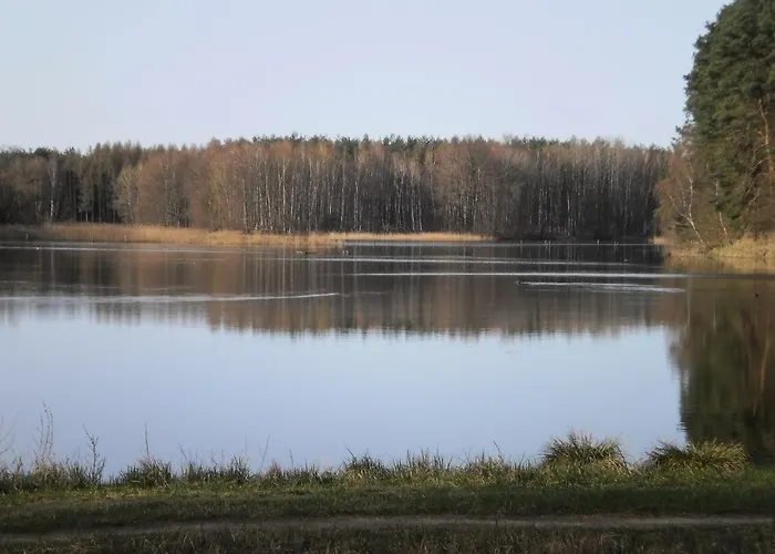 Ferienhaeuser Waldidyll Canow